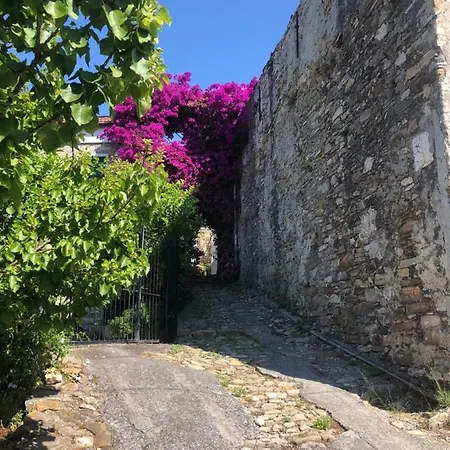 Hébergement de vacances Casa Relax, Un Uliveto Sul Mare. *